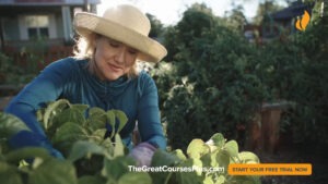 S 1239 TheGreatCoursesPlus TVC V2.00 00 22 14.Still004