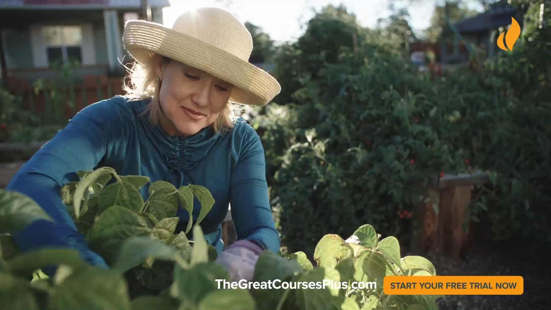 The Great Courses Plus UK TV advert