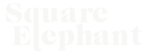 SEP Logo 2022 Type White